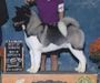 AKC GCH Dem-Be's Smokin Hot