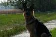  Lucia Defender Hause