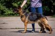 2 * CH (UA), 5*САС, 2*R.CAC Kkessi