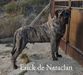 Erick de Naraclan