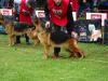 Oma Real K-9