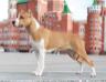  Kendi Doll She Is Favorite Planety Zvezd