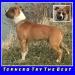  Tornero Try The Best