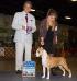 AKC GCH CH Dickies Calabrisella Mia De Paco