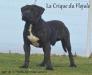 Igor de la huella del presa canario