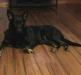  Ember Coal Blakely Von Bokern