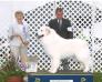 GCH Calanta Pyristamo