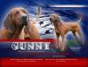 TNTS& RIMFIRE Thunder Rd Gunny