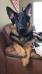 Samson von Unity K