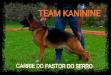 Carrie do Pastor do Serro