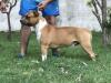  Red Diamond X One In a Million