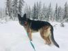  XENA VON DER HAUS STEENS BERG