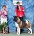 AKC CH Day Dream's Love At First Sight