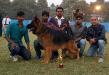 Swapnil's Remo