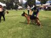 Iago Real K-9