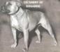 CH Tawny of Dugarde