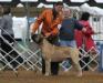  Bandog's Leo of Raven