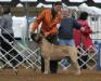  Bandog's Leo of Raven