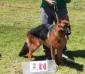 Quilla de K - 9
