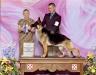 GCH Hillside-Tanbark Locket Charboderouse of Faithrock