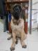 MAVERICK (FLORES)