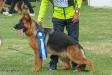 SG1  2019 Zasha aus villaland