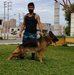 Optimus de k-9