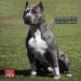 CH MEX. OLIVER