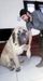 TADEO (FLORES/SANTIAGO)