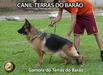 Gamora do Terras do Barão