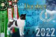 MEX CH, MEX JCH Knto Hershey
