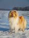 CLEVER EYES KATARINA WITT