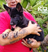 Víctor of k-9 Top Training