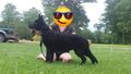 GPKGSD Diamond Marie