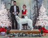 UKC Champion Mackenzie Midsummer Nite Dream