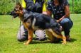 Cloe do Força e Ação