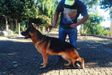 Etoo do Recanto JuPaty