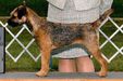 Meadowlake Sharp Dressed Girl