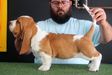 Bassefied Koba