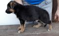Nero vom Nagler See