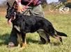 Itan of k-9 TOP TRAINING