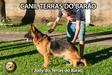 Judy do Terras do Barão