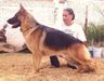 I.Ursus Real K-9