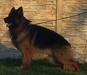 FIDO Hexenland