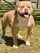  DSAB’s Dexter “Dex” of Dean’s