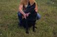Nika Marinchuk K-9