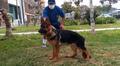 Illary (de K-9) Allcco De Zamora