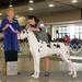 GCH Northernaire Living By High Standards @ Bear Creek