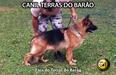 A-Zara do Terras do Barão
