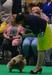 British Ch Portugal Ch GK Ch Swedish Ch Mult. BIS Aizens I´m A Lengend JW